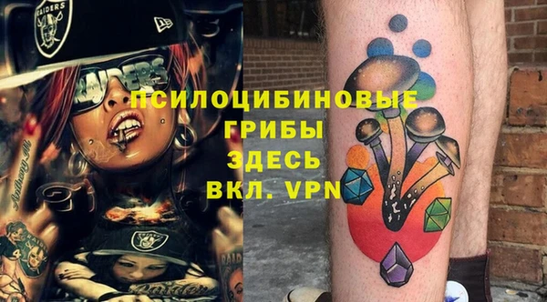сатива Саяногорск