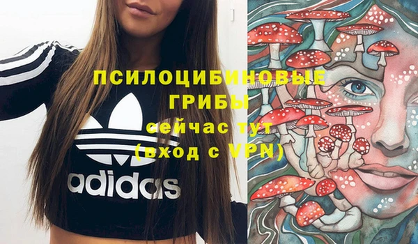 mdpv Сафоново