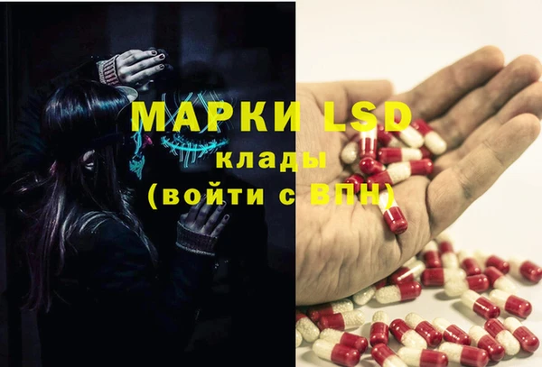 сатива Саяногорск