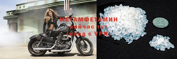 гидра Володарск