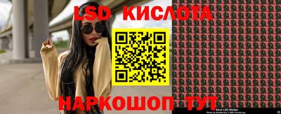 меф Гатчина