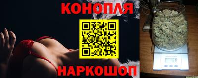шишки Апшеронск