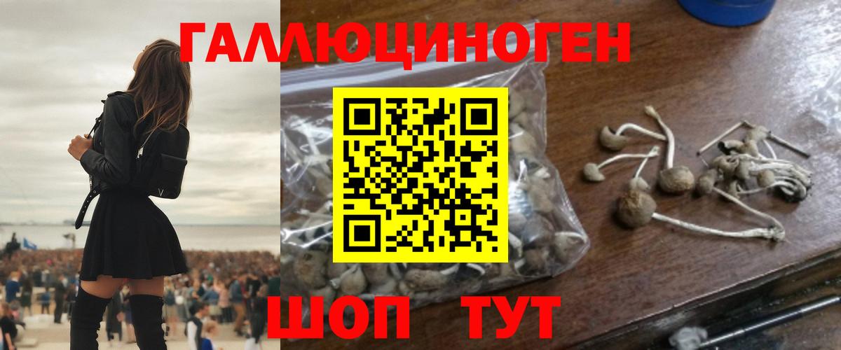 Псилоцибиновые грибы прущие грибы  Вход с VPN  Белогорск 